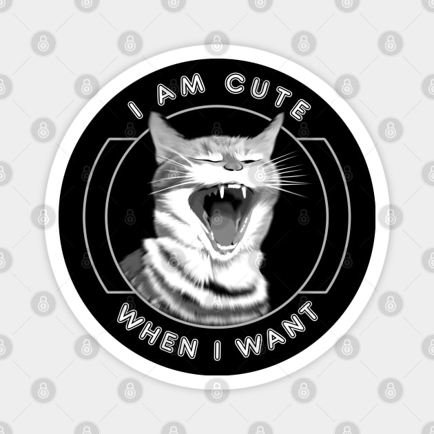 Funny cat quote Magnet by TMBTM